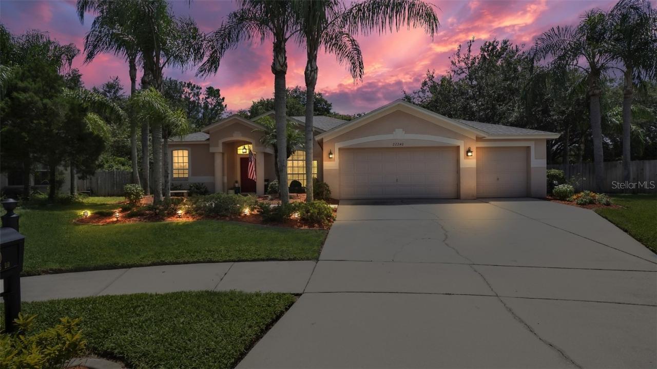 22240 Willow Lakes Dr., Lutz, FL 33549