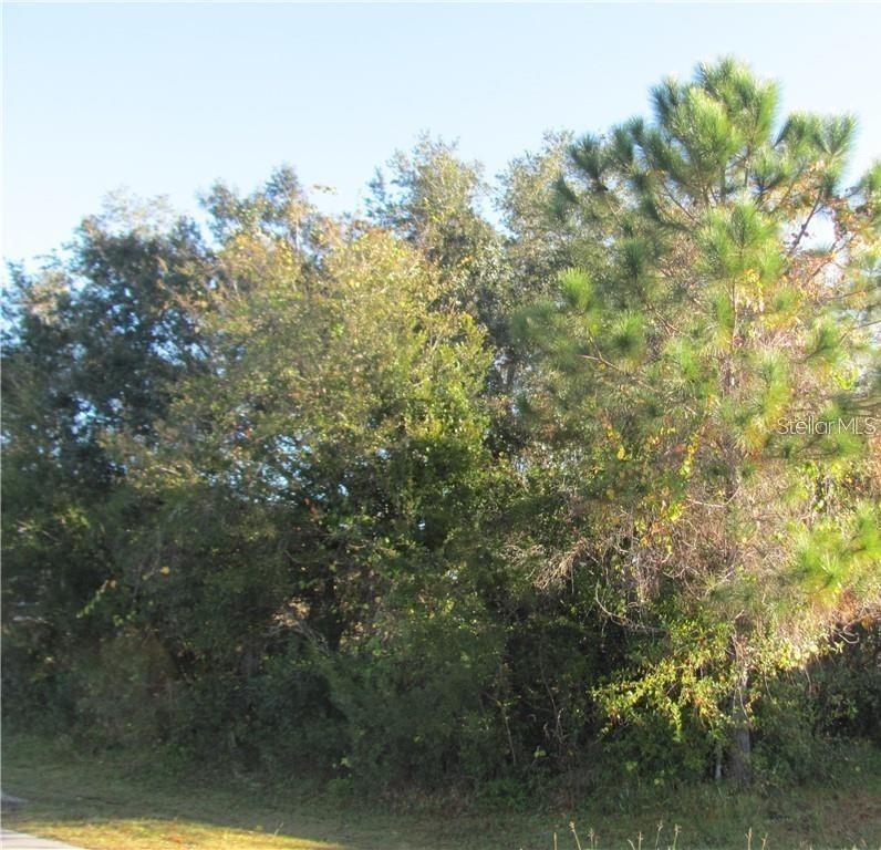 Versailles Ln., Kissimmee, FL 34759