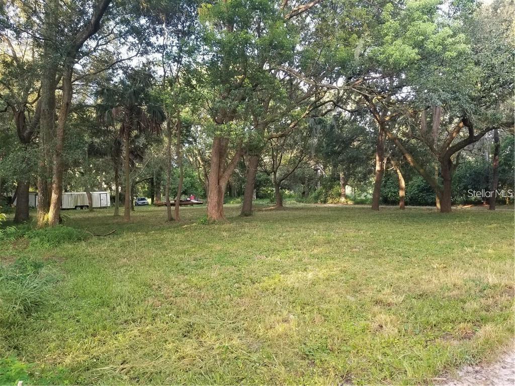 3833 Fern Gully Cove, Winter Park, FL 32792