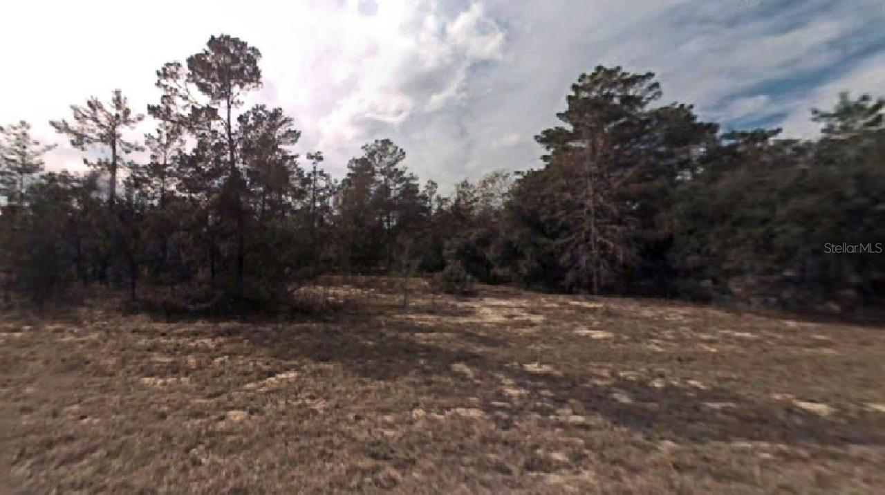 Fisher Trail Ct., Ocklawaha, FL 32179