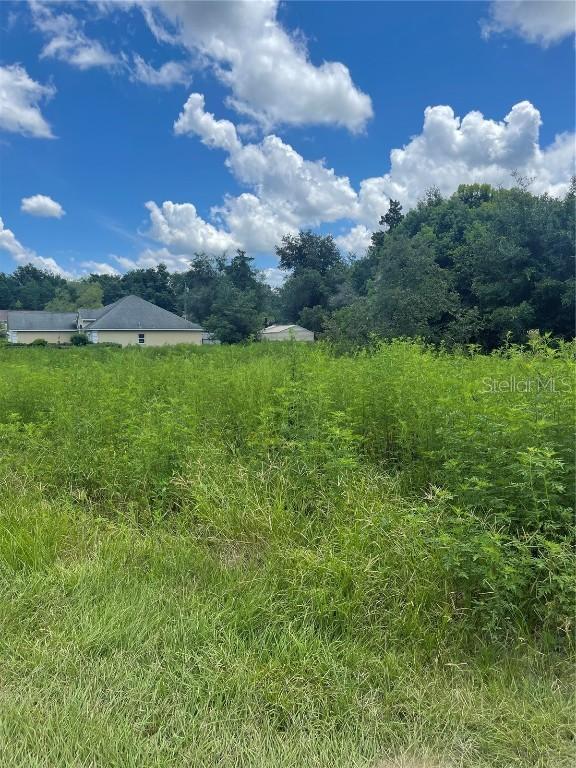 Mattawan Dr., Eustis, FL 32736