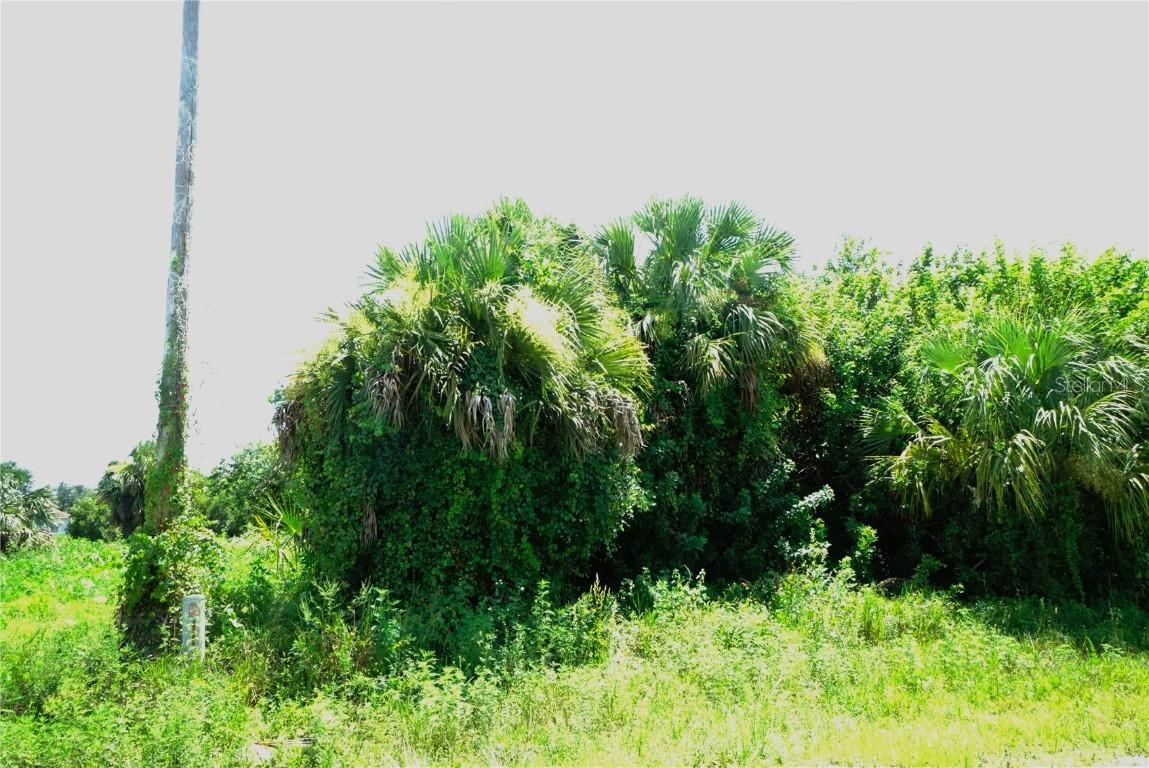 [Address Hidden by Seller], Lehigh Acres, FL 33974