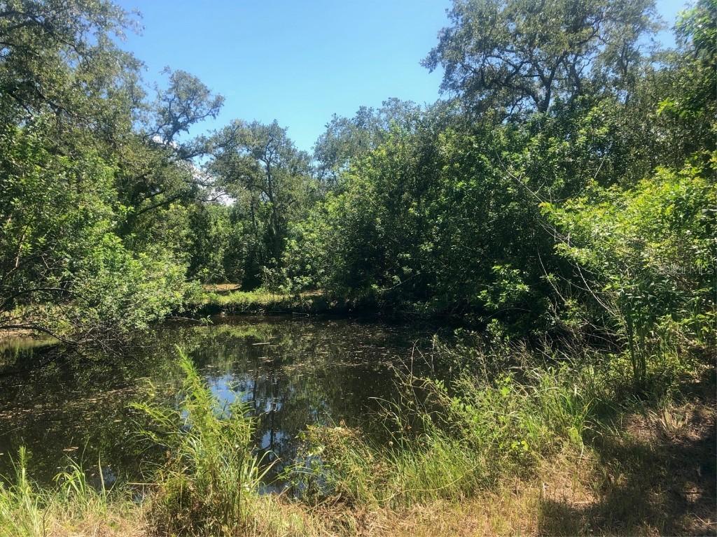 565 Old Dixie Ln., Oak Hill, FL 32759