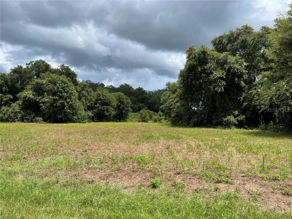 453 Long And Winding Rd., Groveland, FL 34737