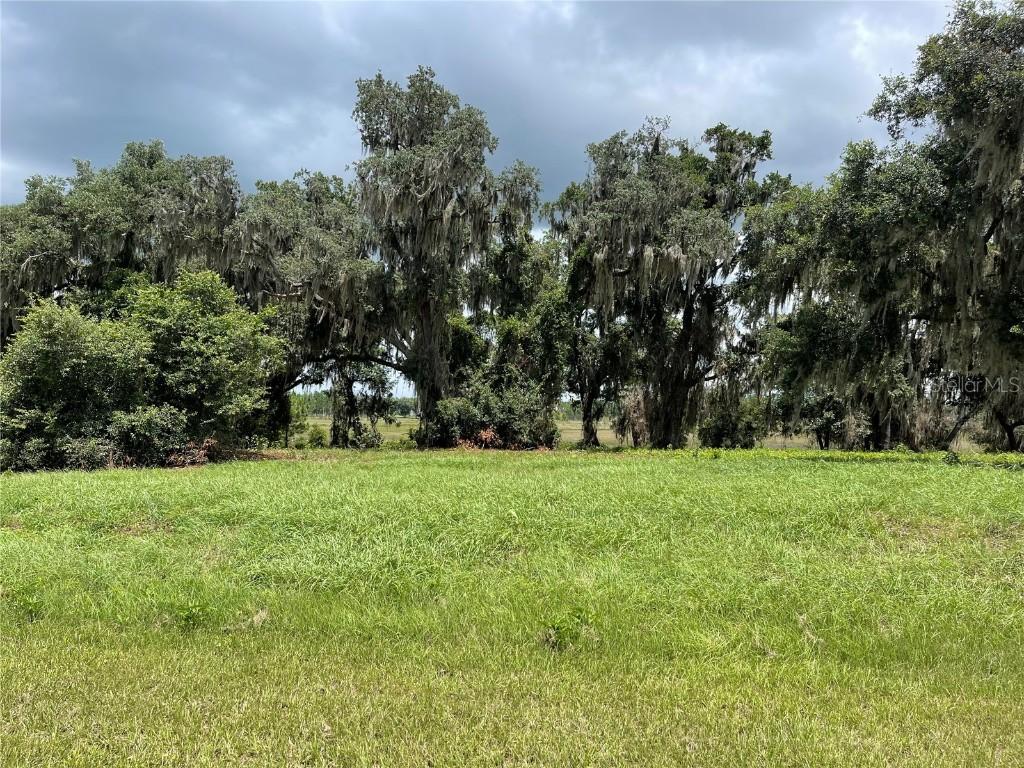 469 Long And Winding Rd., Groveland, FL 34737
