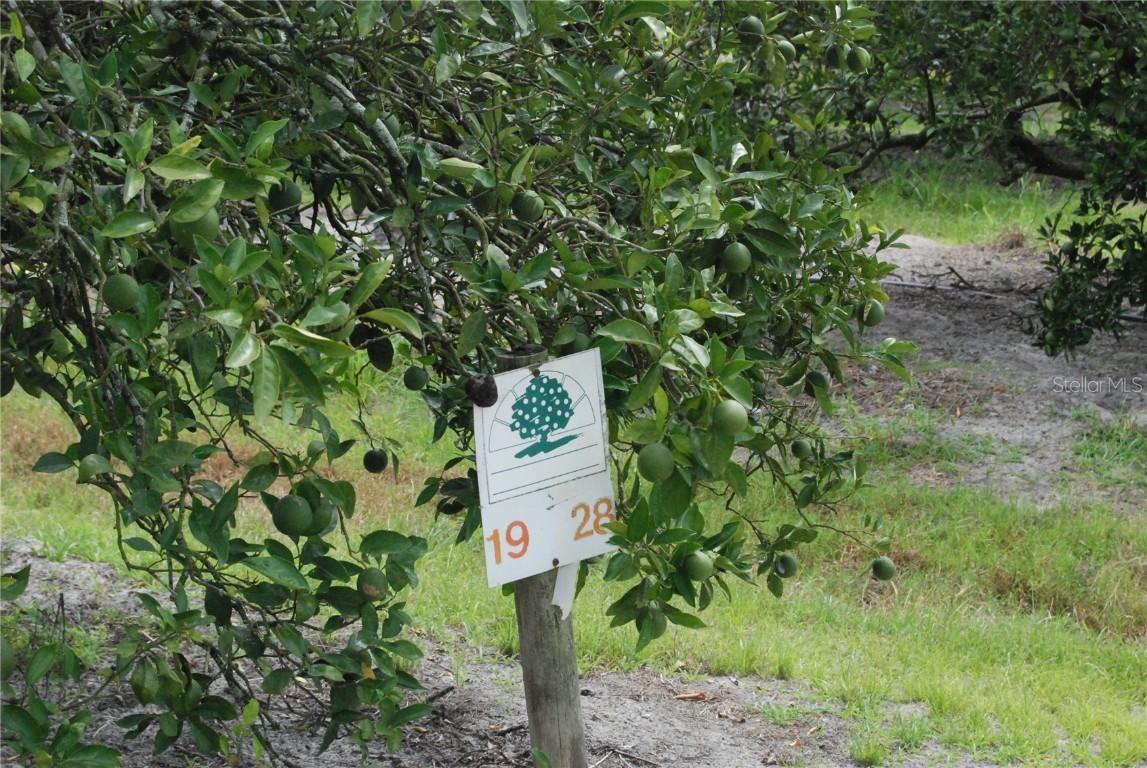 12010 NE Hwy 70, Arcadia, FL 34266