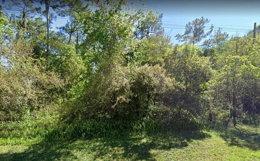 14128 E Lake Mary Jane Rd., Orlando, FL 32832