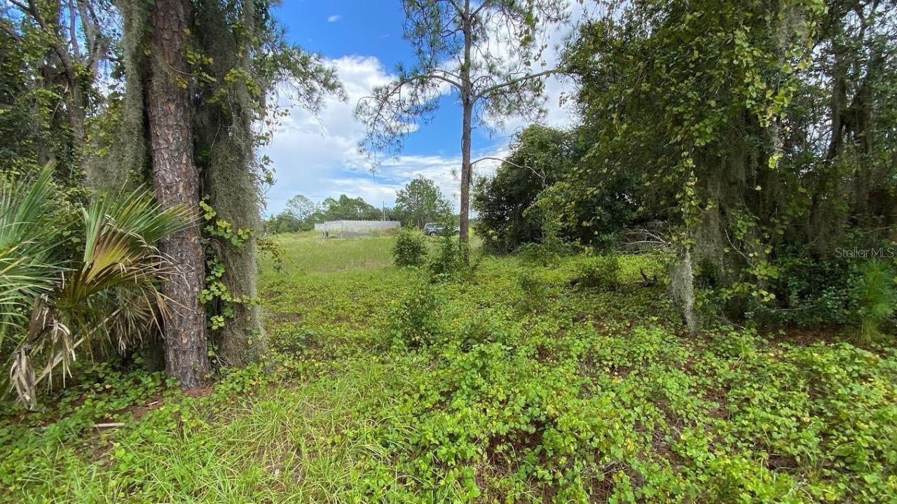 349 Bream Cir., Poinciana, FL 34759