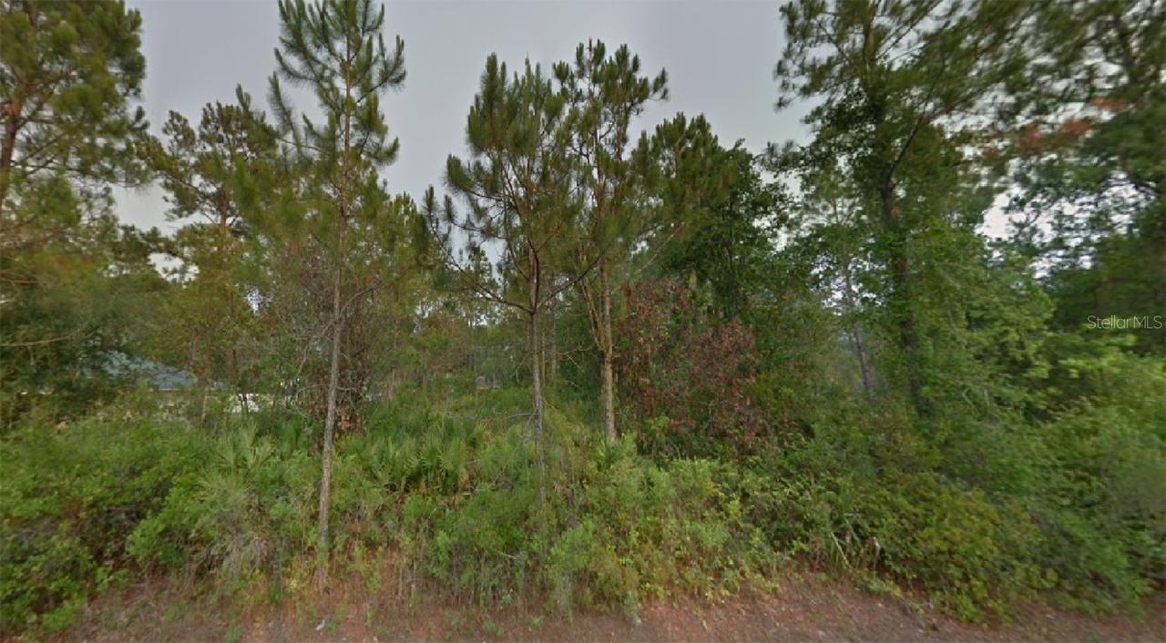 14 Ryken Ln., Palm Coast, FL 32164