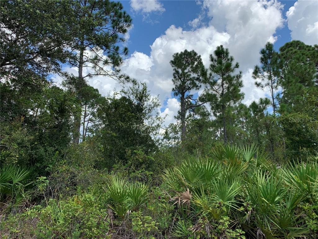 1014 Williams Ave., Lehigh Acres, FL 33972