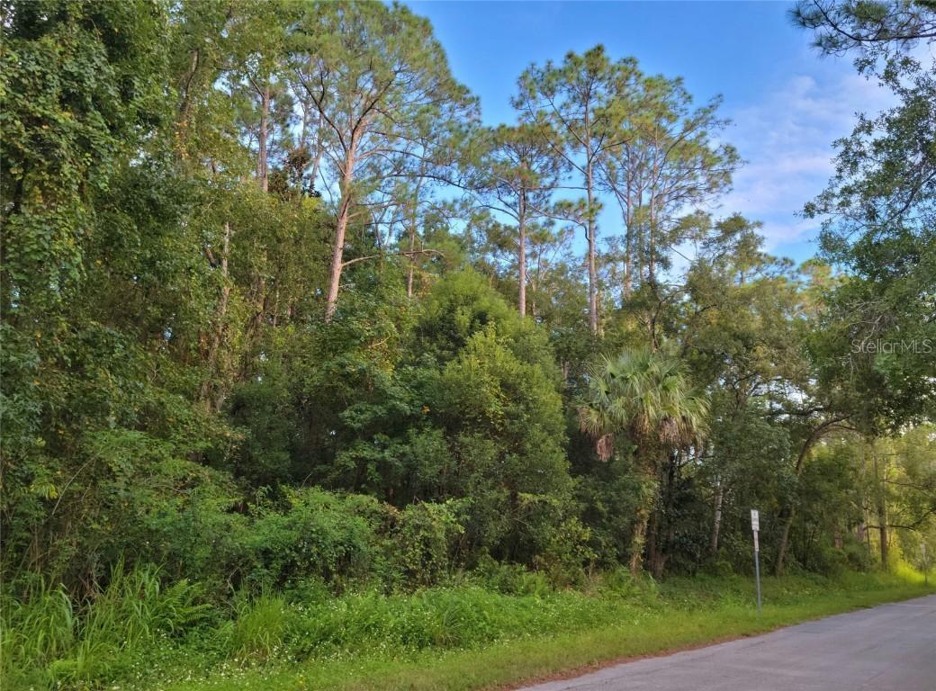 2545 S Park Ave., Sanford, FL 32773