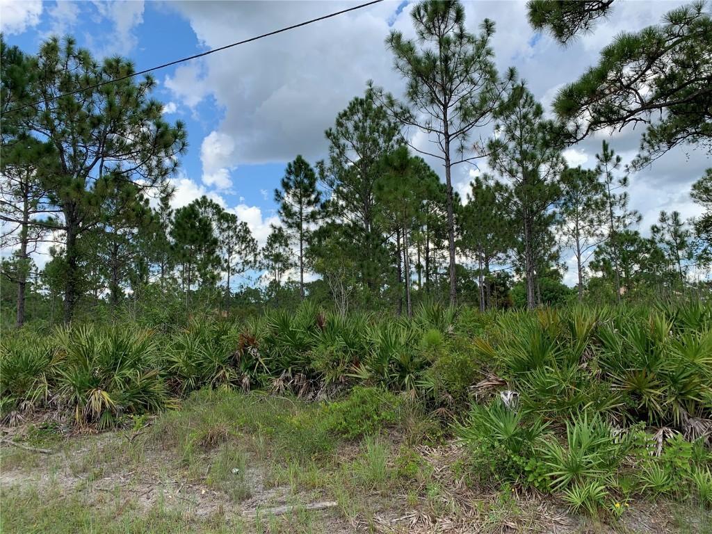 1006 Rush Ave., Lehigh Acres, FL 33972