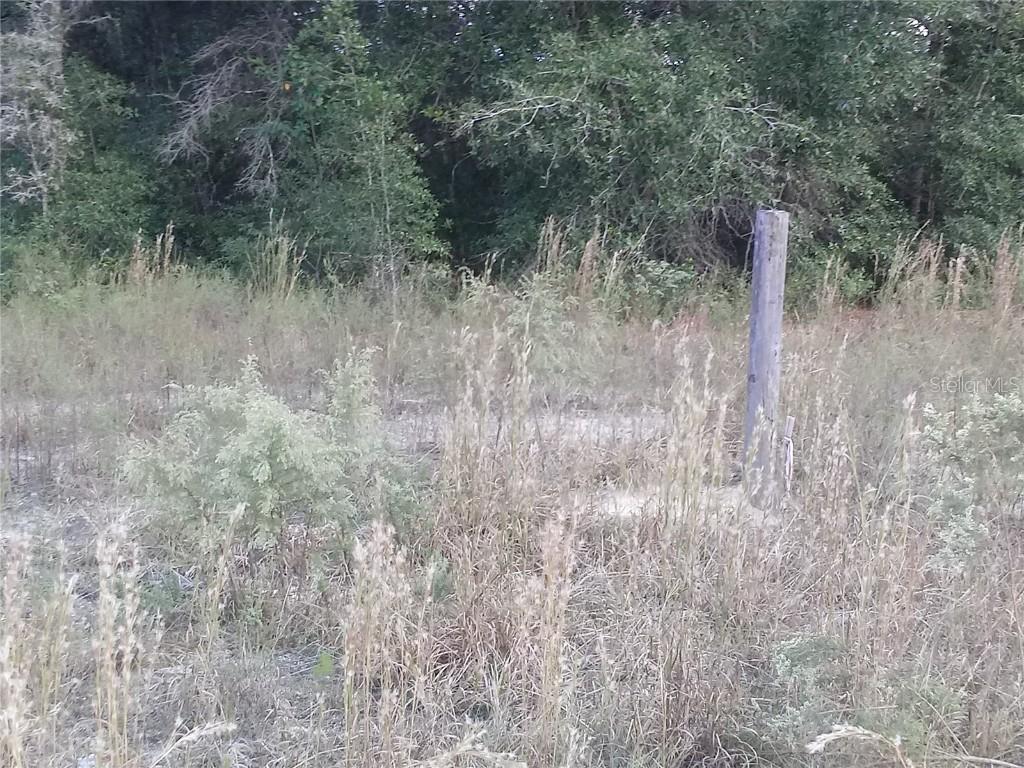 SW 150th Ct., Ocala, FL 34481