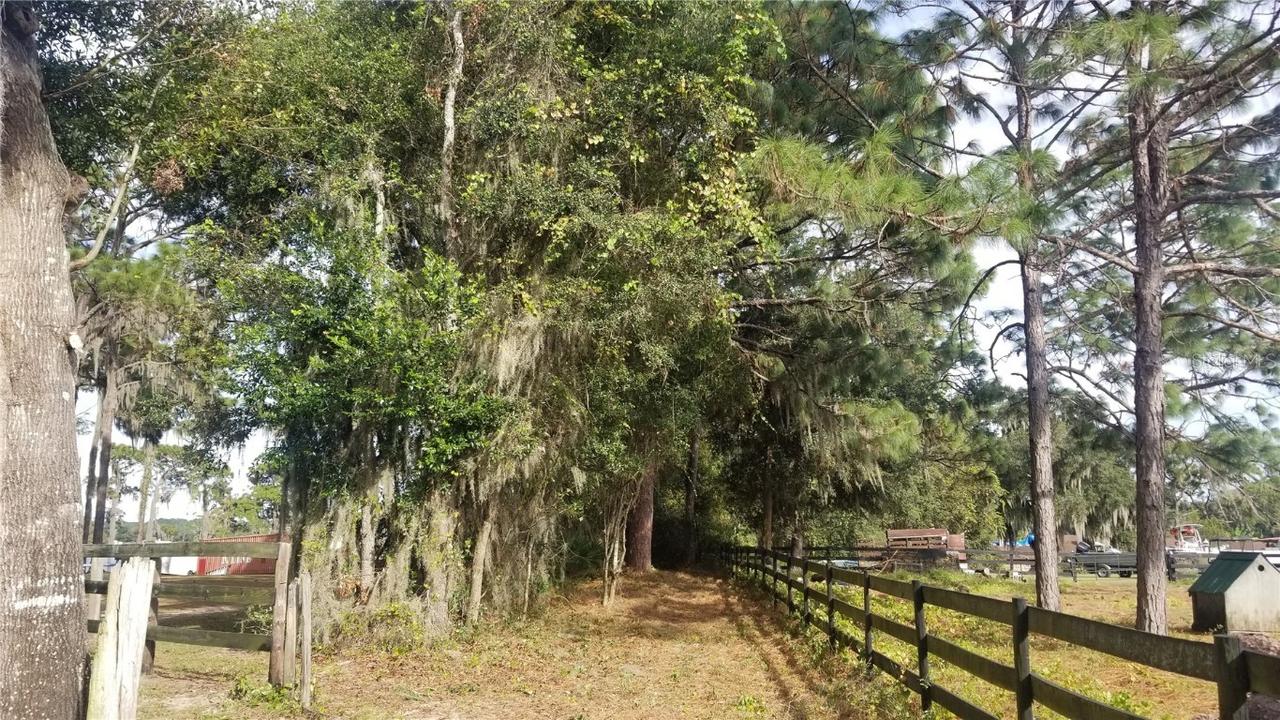 SE 141st Ave Rd., Ocklawaha, FL 32179