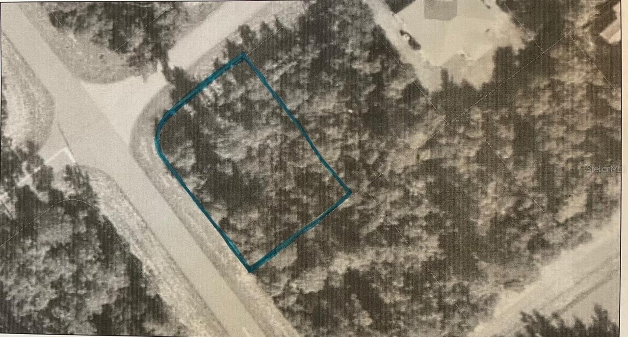 SW 164th St Rd., Ocala, FL 34473