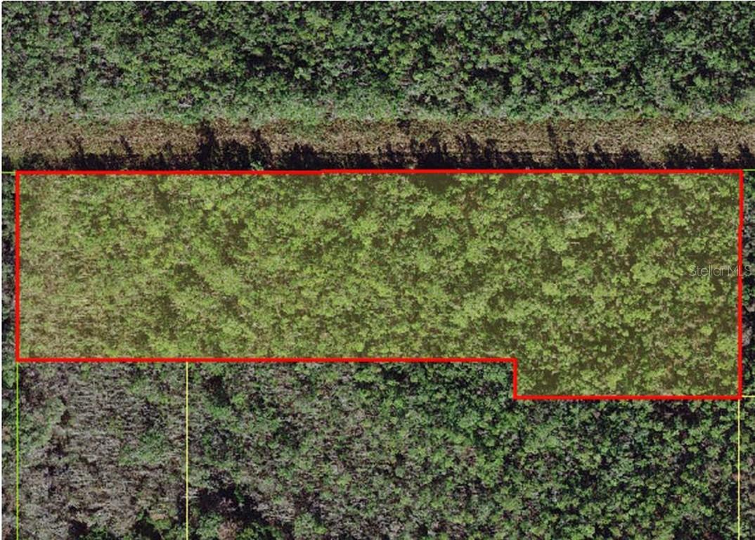 Thacker Tr., Kissimmee, FL 34747