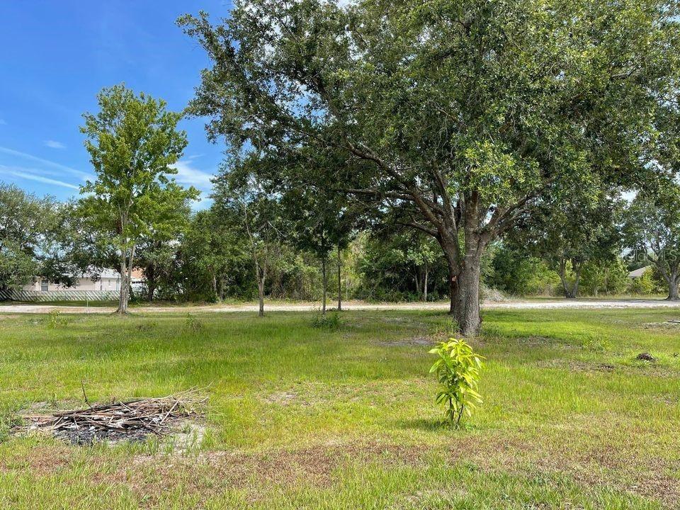 Alsace Dr., Kissimmee, FL 34759
