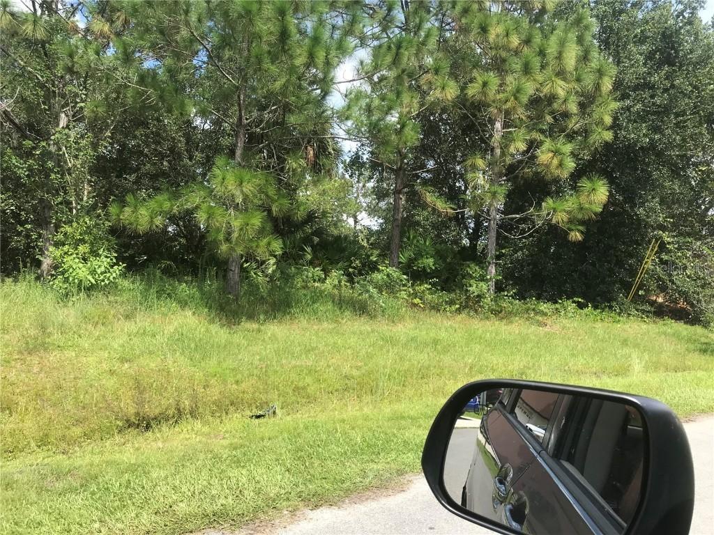 643 Rosaro Ct., Kissimmee, FL 34758