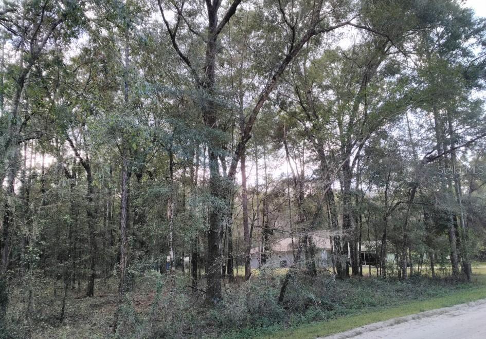 11996 SW 39th Ln., Ocala, FL 34481