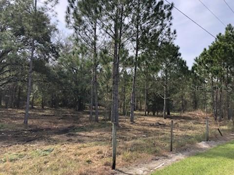 Ronald Reagan Pkwy., Davenport, FL 33837