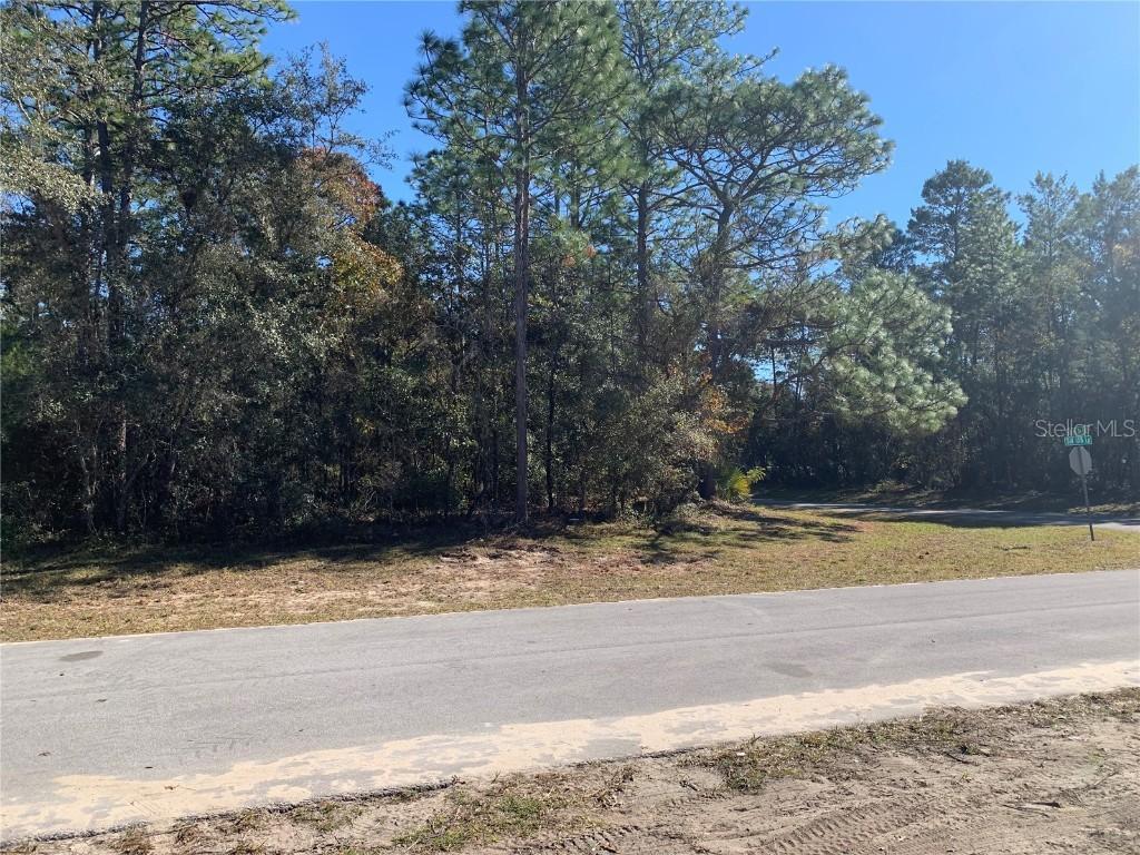 Undetermined, Ocala, FL 34473