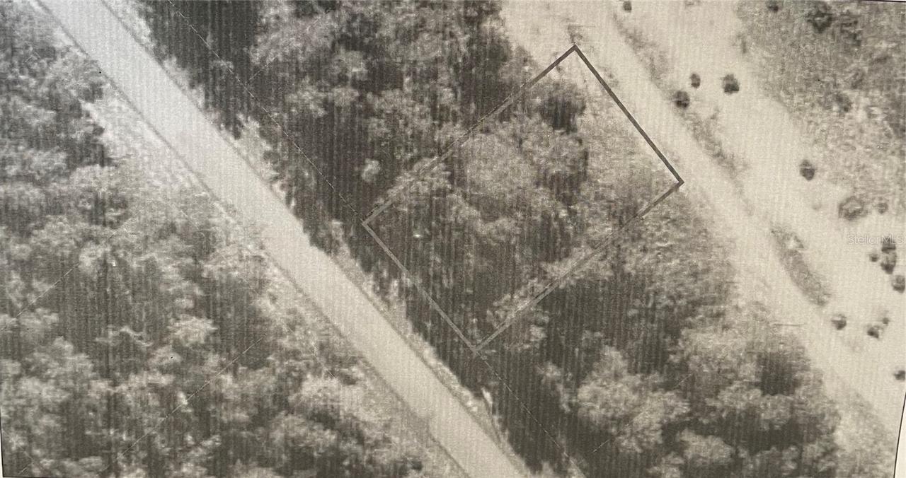 SW 54th Ct Rd., Ocala, FL 34473