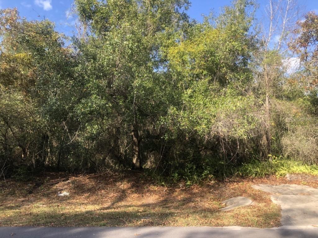 Shadrack Ct., Orlando, FL 32817