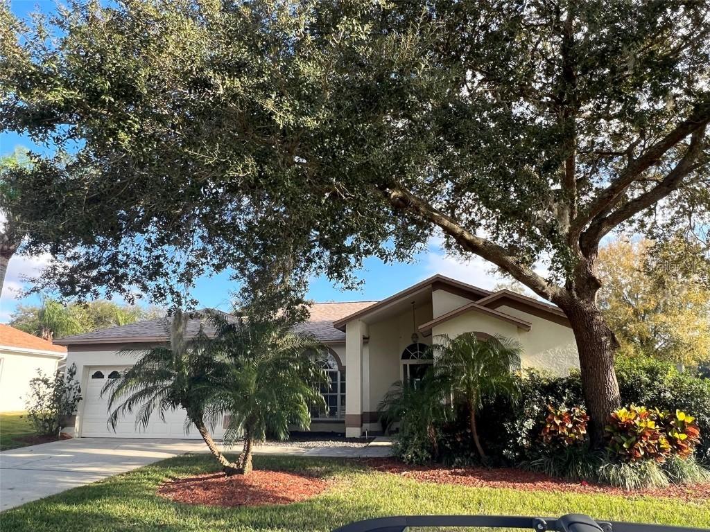 19709 Wyndham Lakes Dr., Odessa, FL 33556