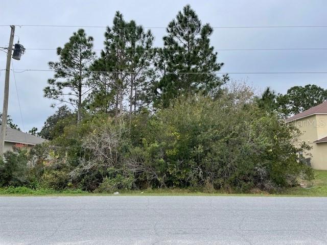 Nogales Ct., Kissimmee, FL 34758