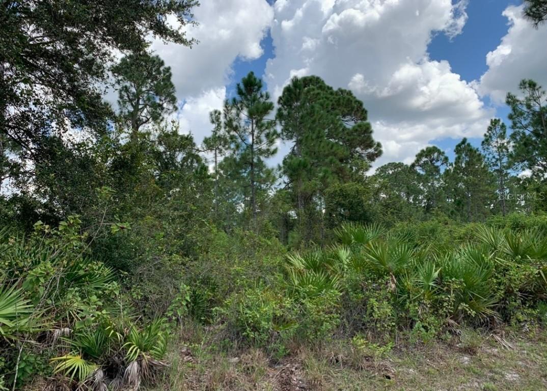 1016 Williams Ave., Lehigh Acres, FL 33972