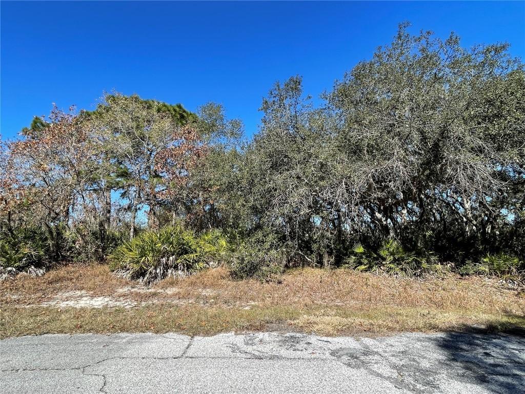521 St Johns Ct., Poinciana, FL 34759