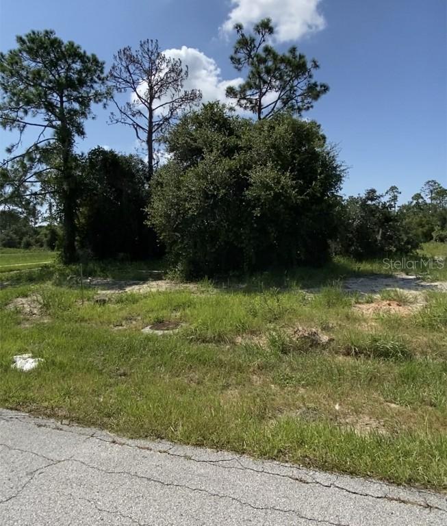 1243 Amazon Ln., Poinciana, FL 34759