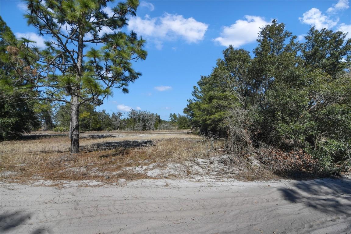 Bowfin Ct., Poinciana, FL 34759