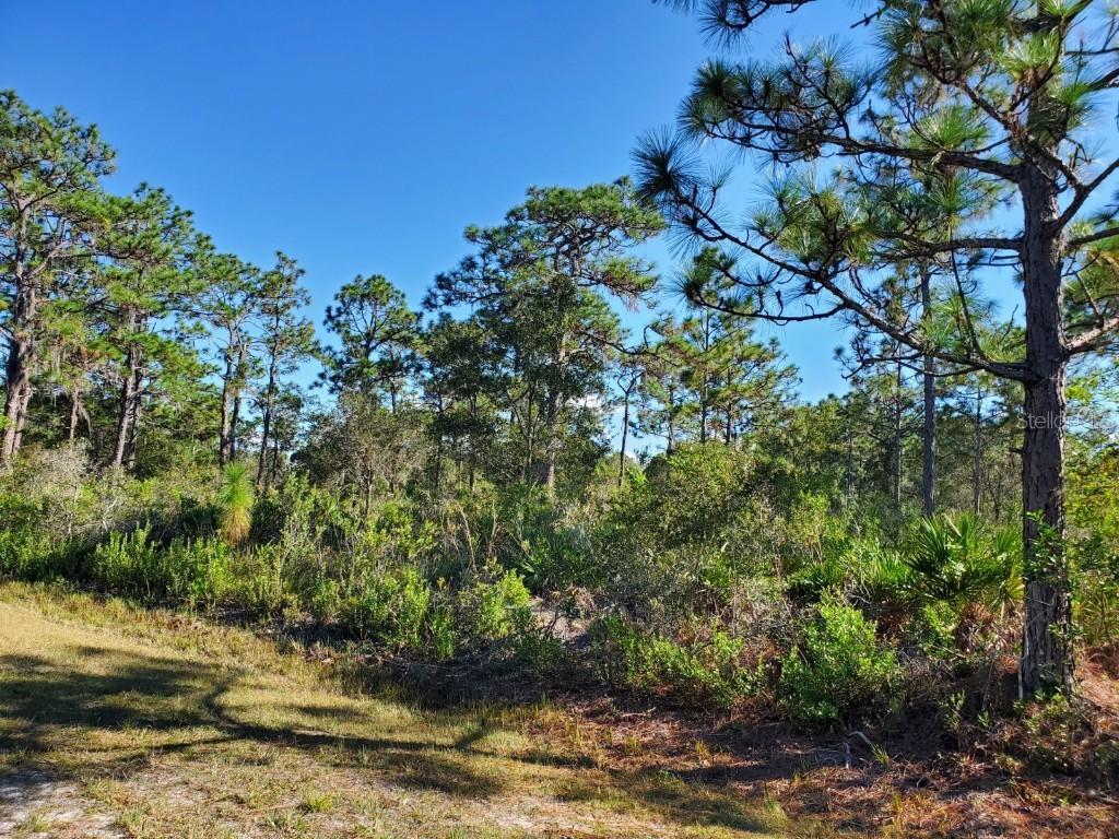 1012 Japonica Dr., Indian Lake Estates, FL 33855