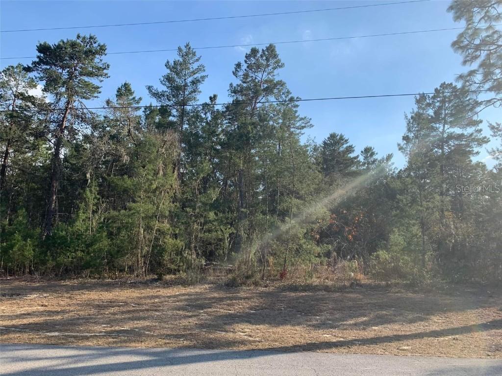 Lot 28 SW 44th Cir., Ocala, FL 34473