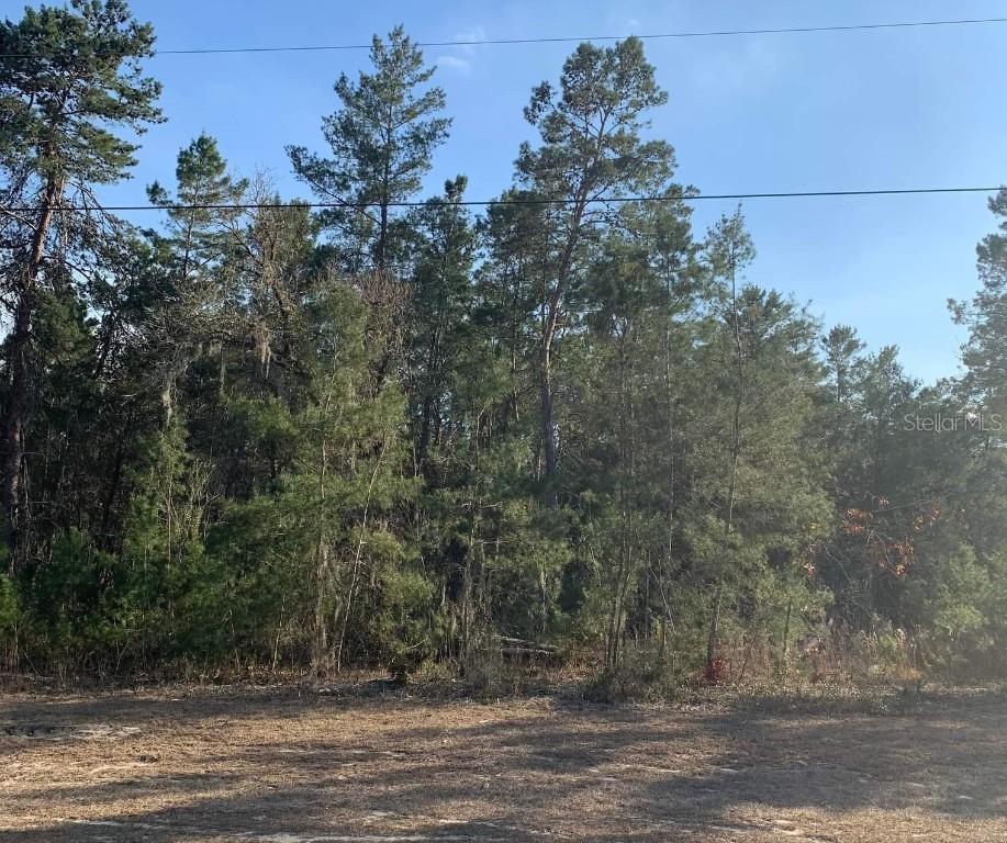 Lot 27 SW 44th Cir., Ocala, FL 34473