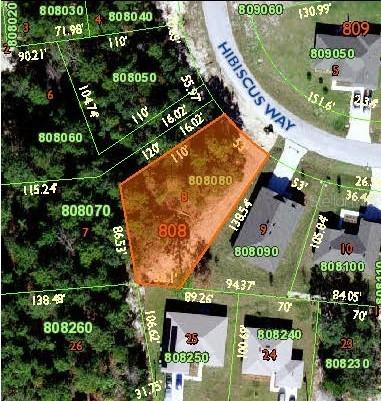 2117 Hibiscus Way, Poinciana, FL 34759