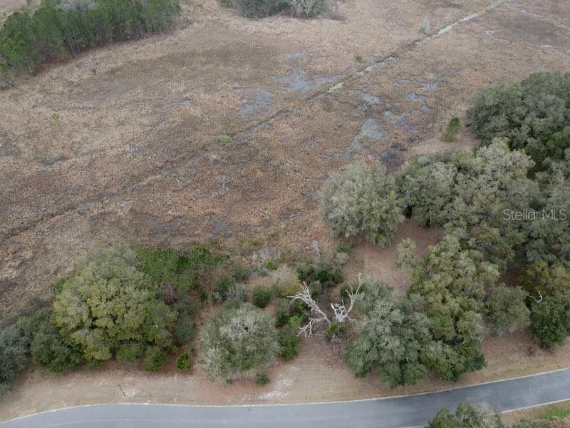 452 Long And Winding Rd., Groveland, FL 34737