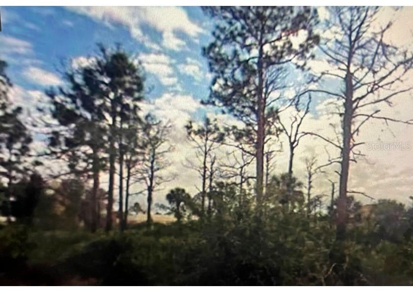 3005 13th St., Lehigh Acres, FL 33971