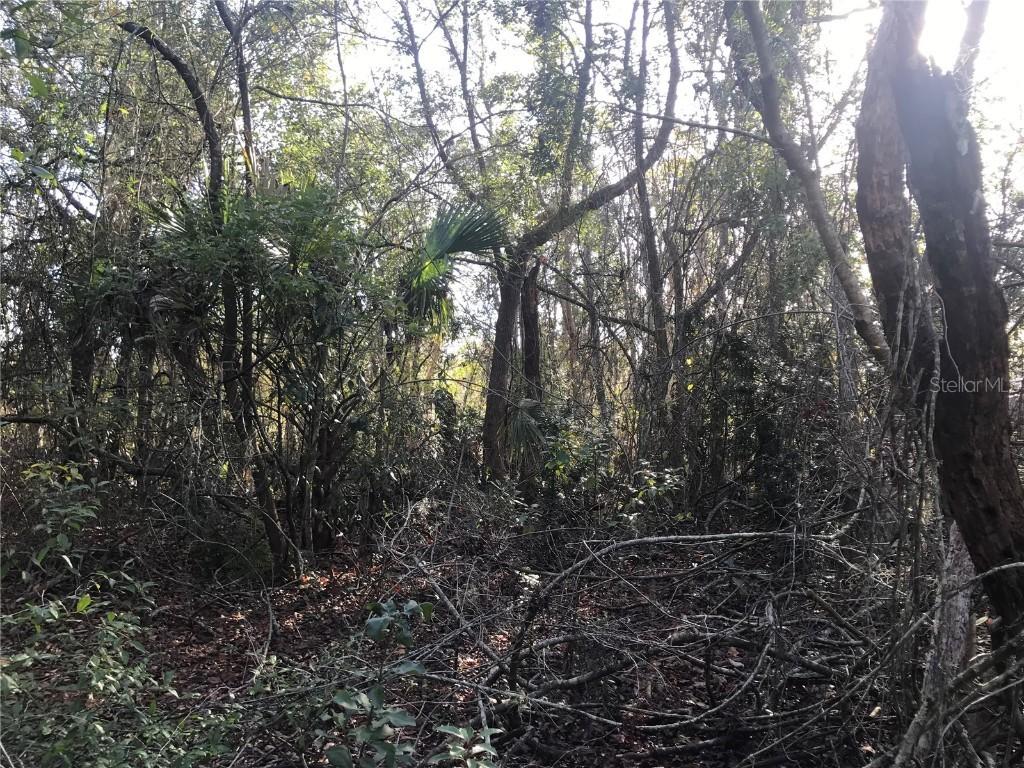 Barcellona Rd., Land O Lakes, FL 34637