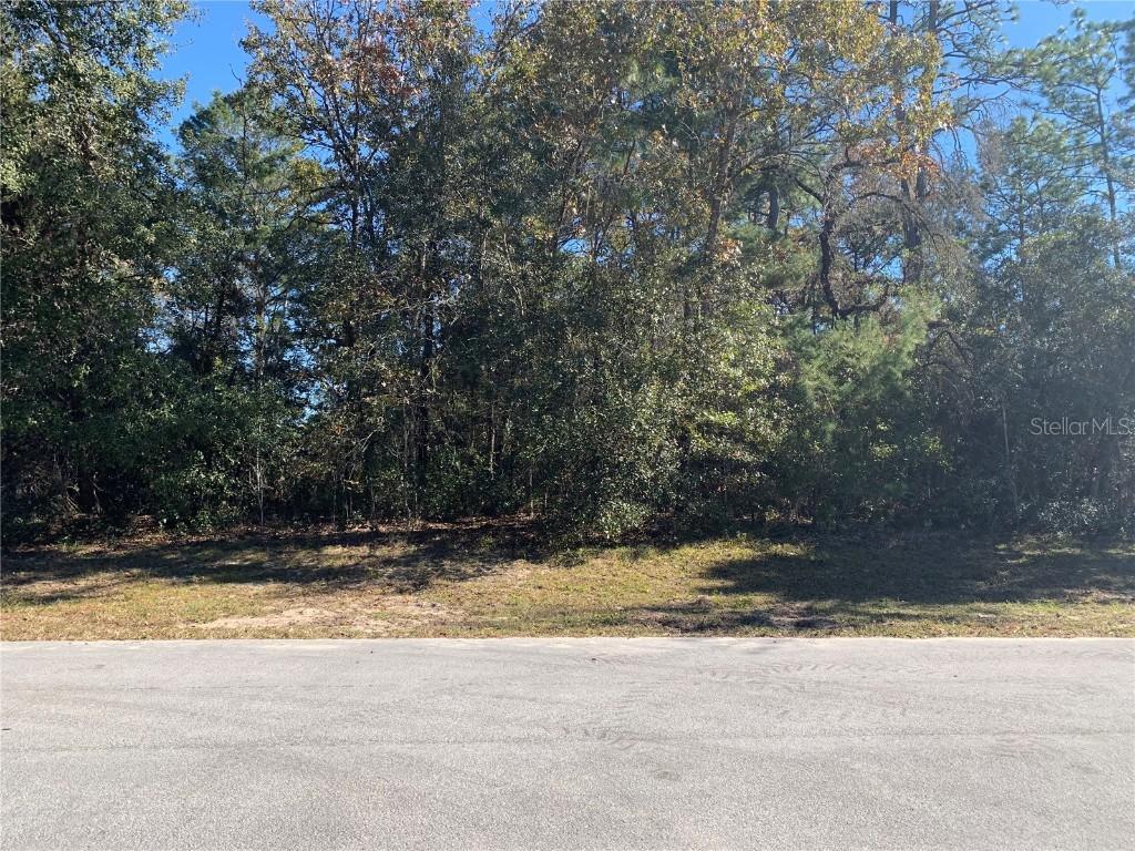 0000 SW 155th Loop, Ocala, FL 34473