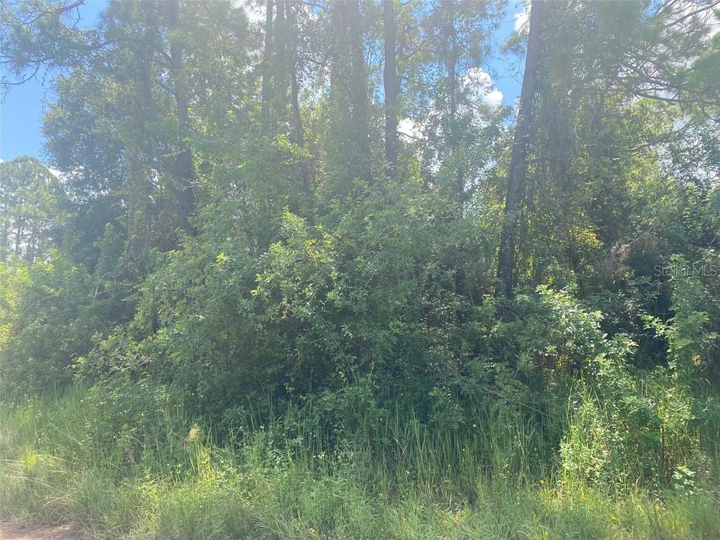 116 SW 2nd Ave., Palatka, FL 32177