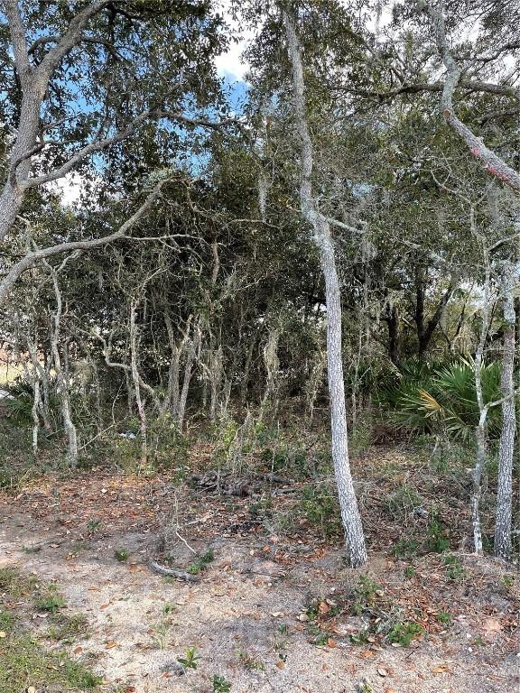 1823 Snapper Dr., Poinciana, FL 34759