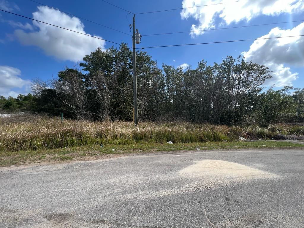 1287 Nelson Park Ct Ct., Poinciana, FL 34759
