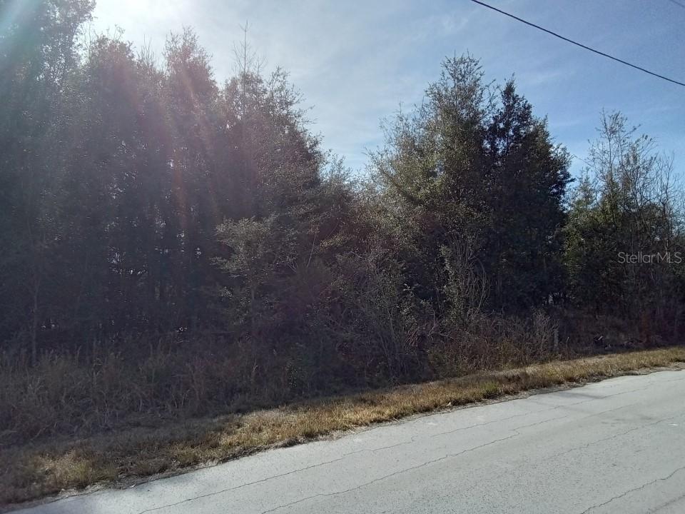 43 Water Track Loop #Lot 34, Ocala, FL 34472