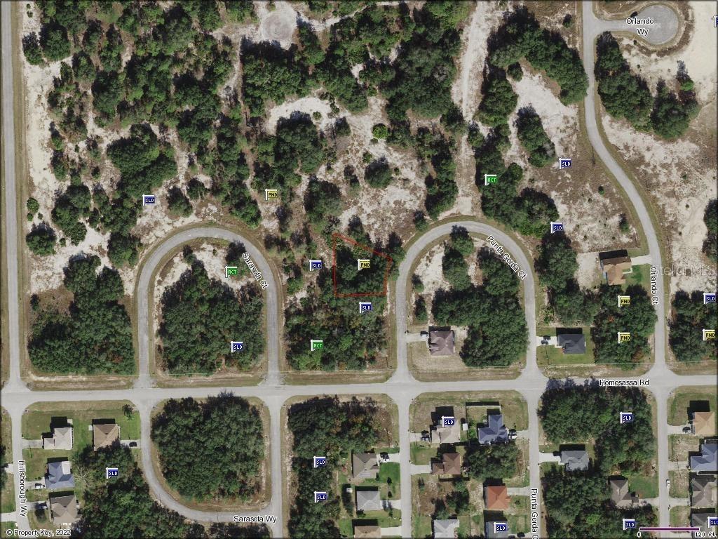 1419 Punta Gorda Ct., Poinciana, FL 34759