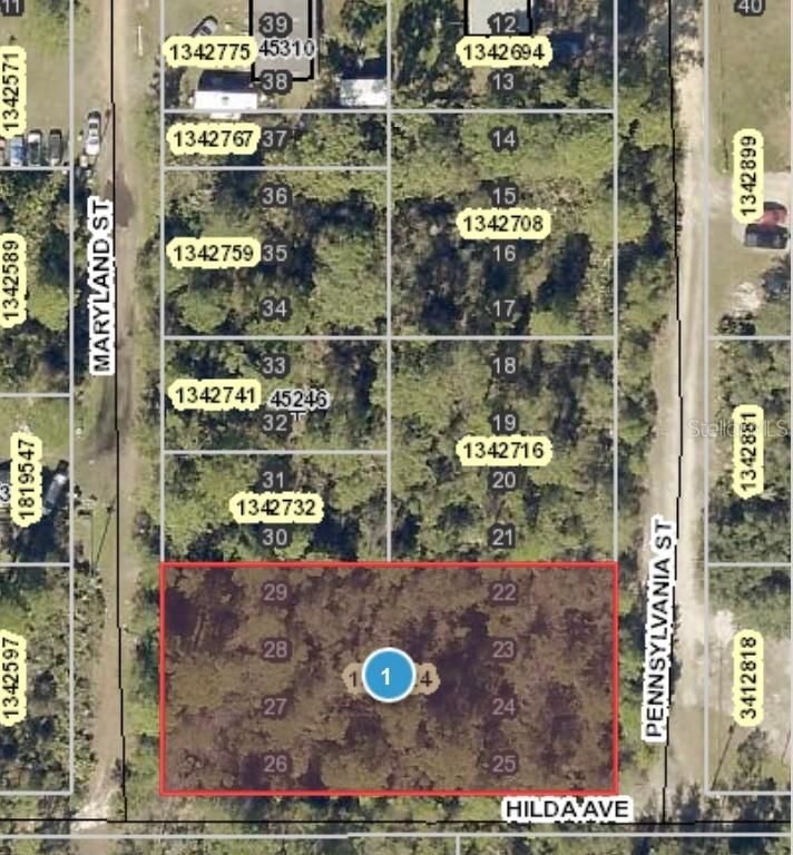Hilda Ave., Paisley, FL 32767