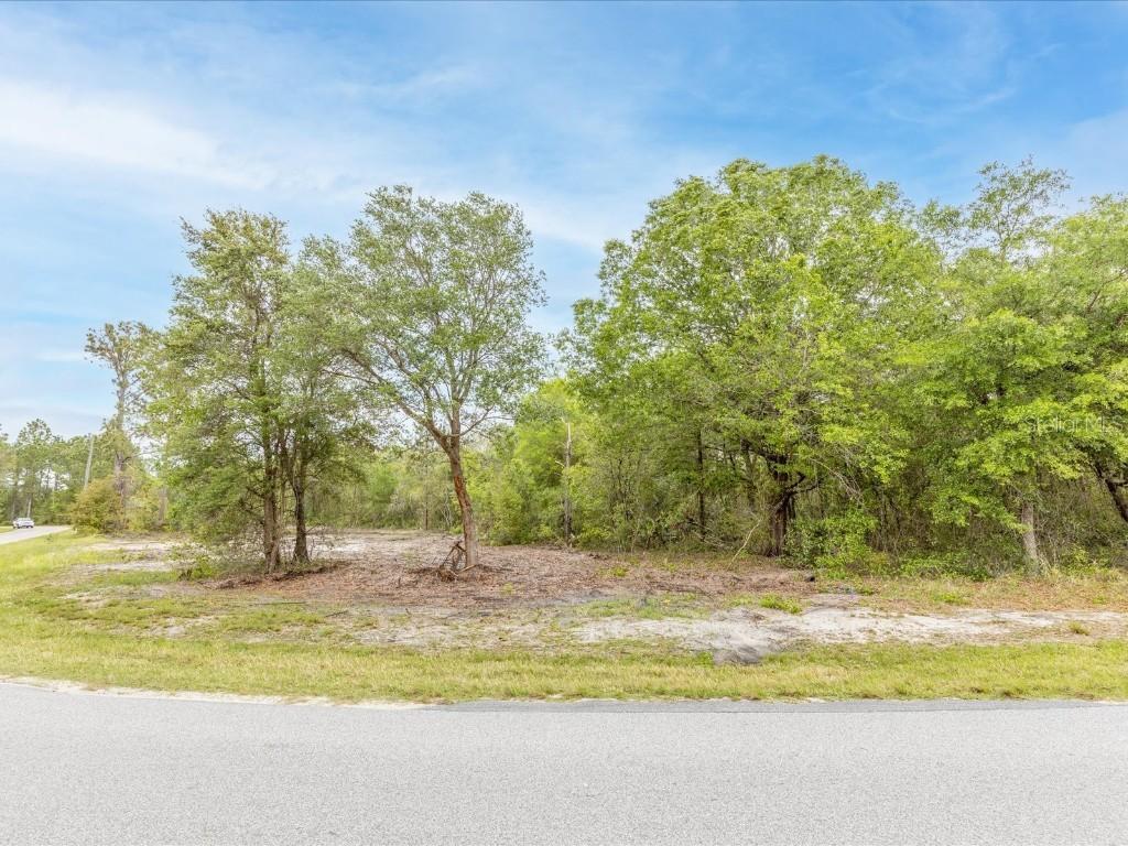 Florida Boys Ranch Rd, Clermont, FL 34711