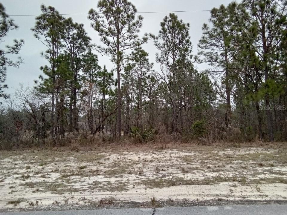 SW 131st Pl., Ocala, FL 34473