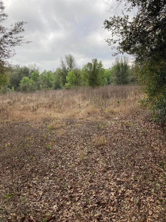 [Address Hidden by Seller], Groveland, FL 34736